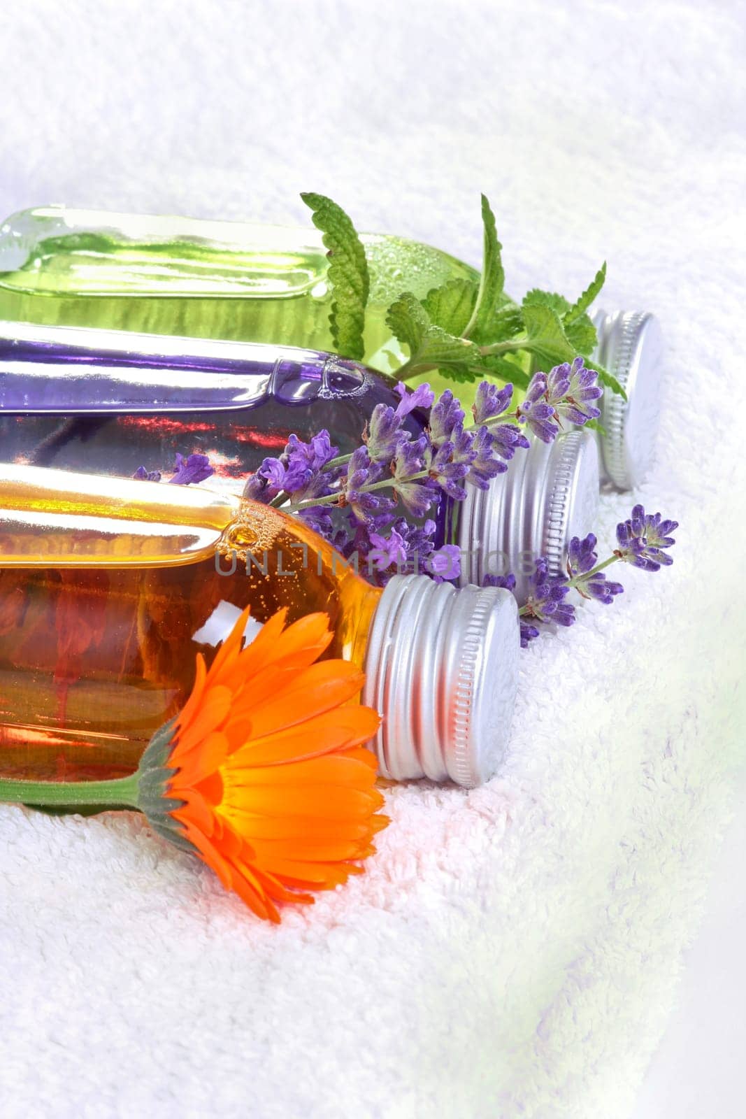 Wellness with medical plants