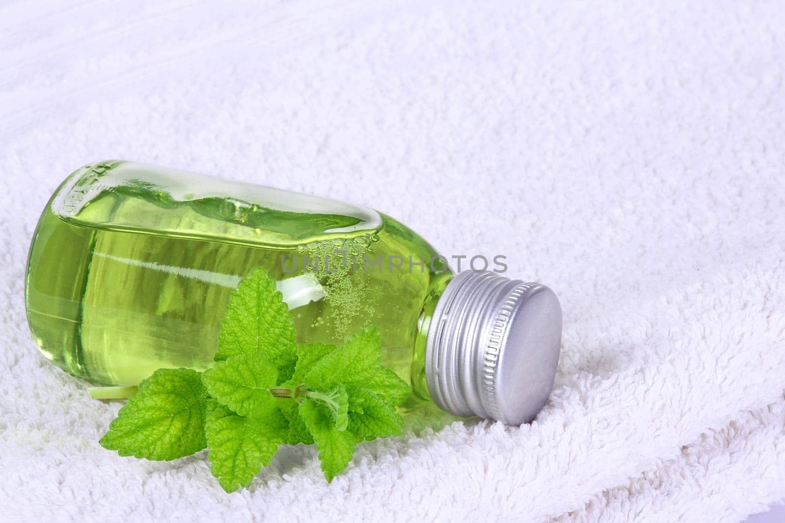Lemon balm on a towel