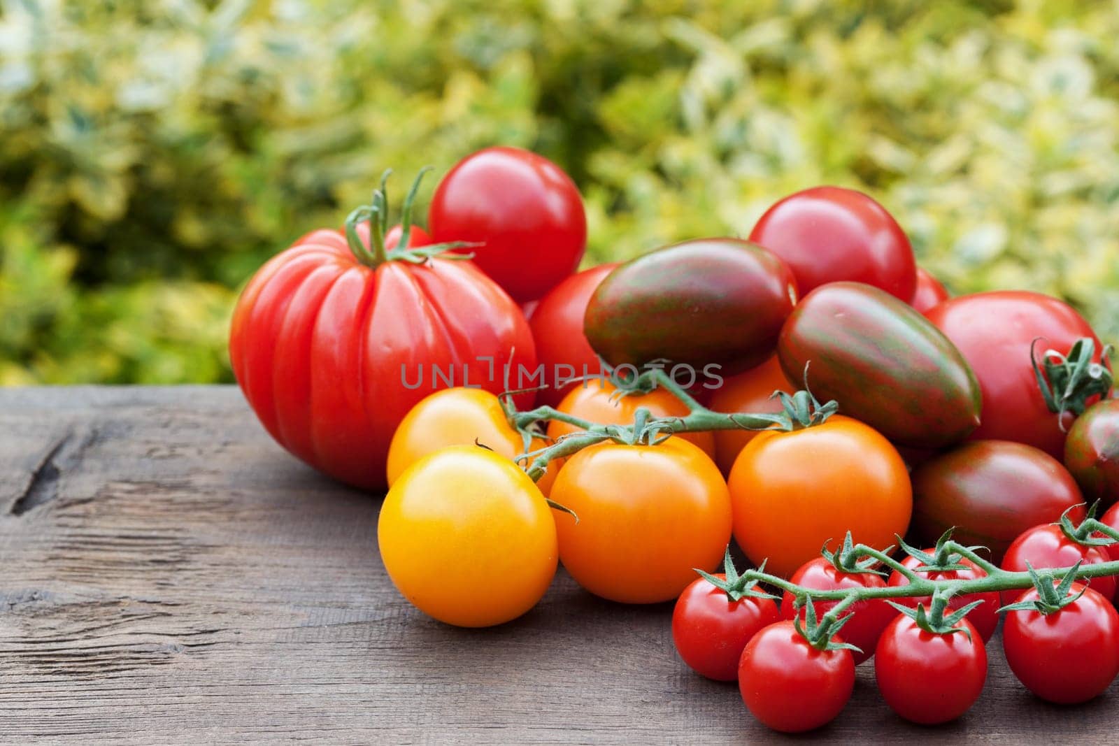 Colorful tomatoes