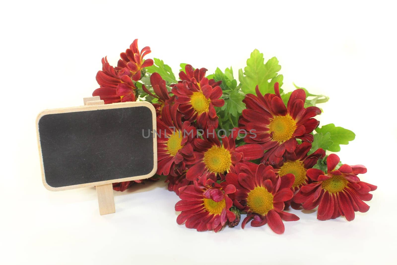 a small bouquet of chrysanthemums against a white background
