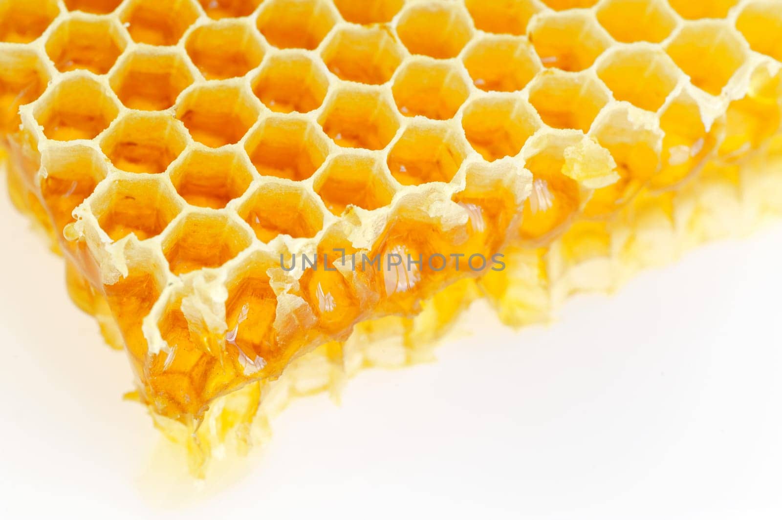 Honeycomb isolated on white