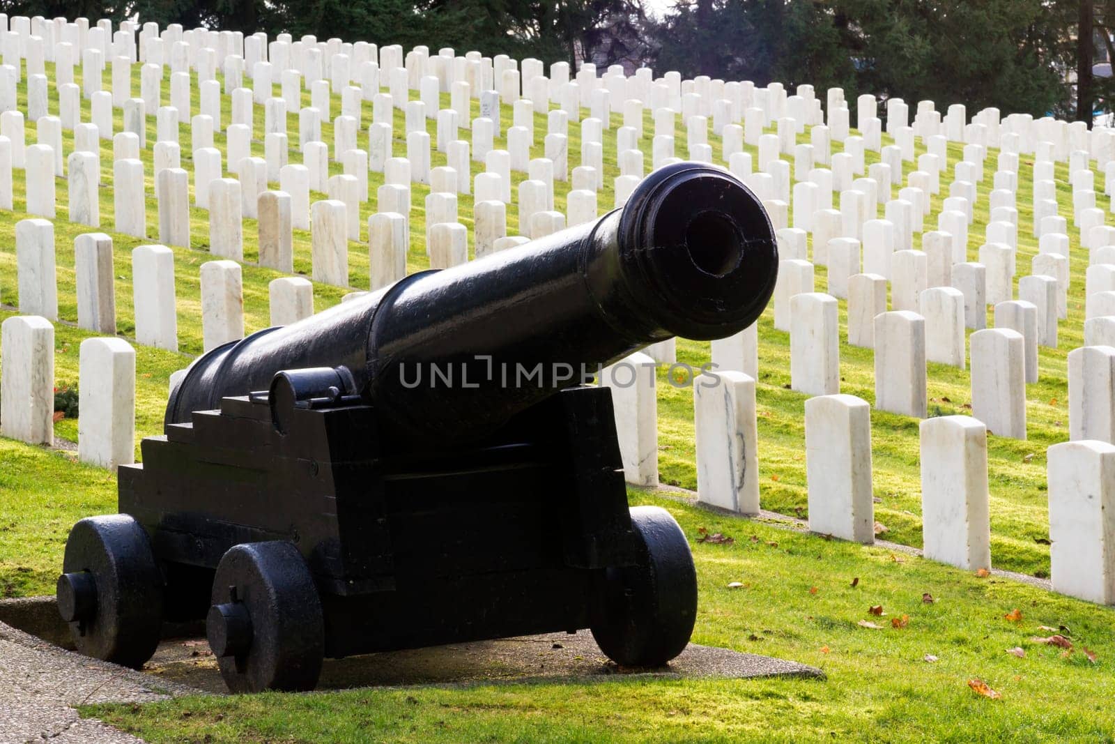 Many men have fallen in war and some are laid to rest here