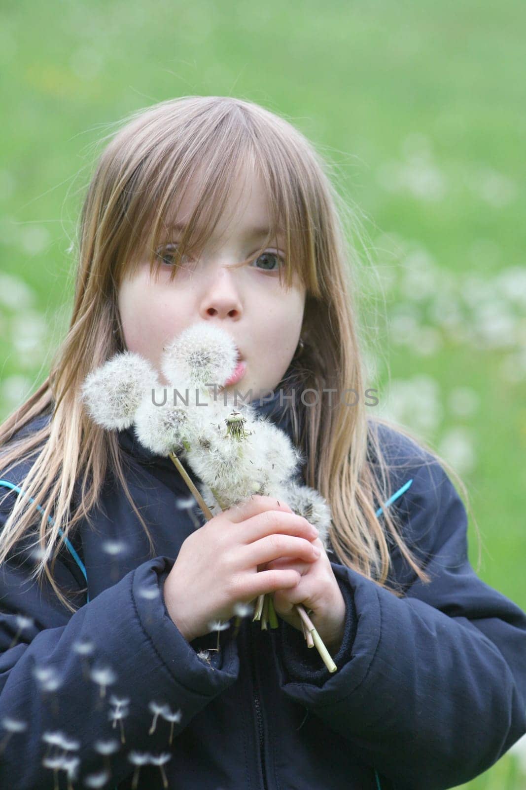 a blonde girl with dandelions