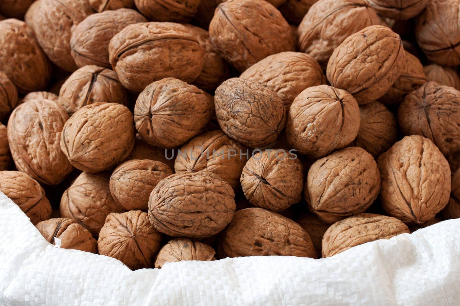 Fresh walnuts