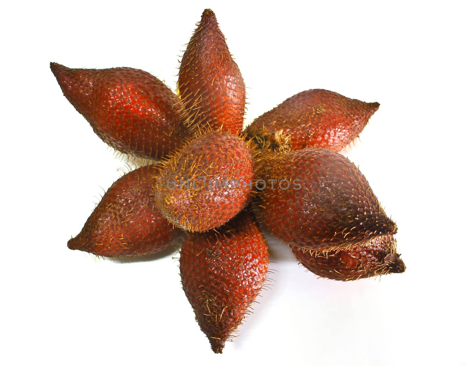 Zalacca or salak fruit, Traditional seasonal Sweet fruit flavors of Thailand