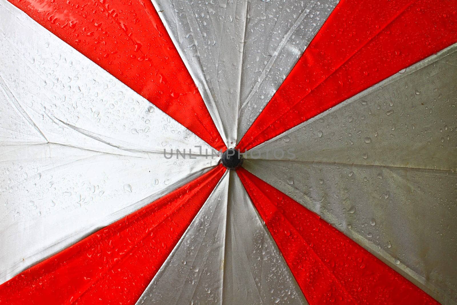 Drops of rain water on the umbrella.