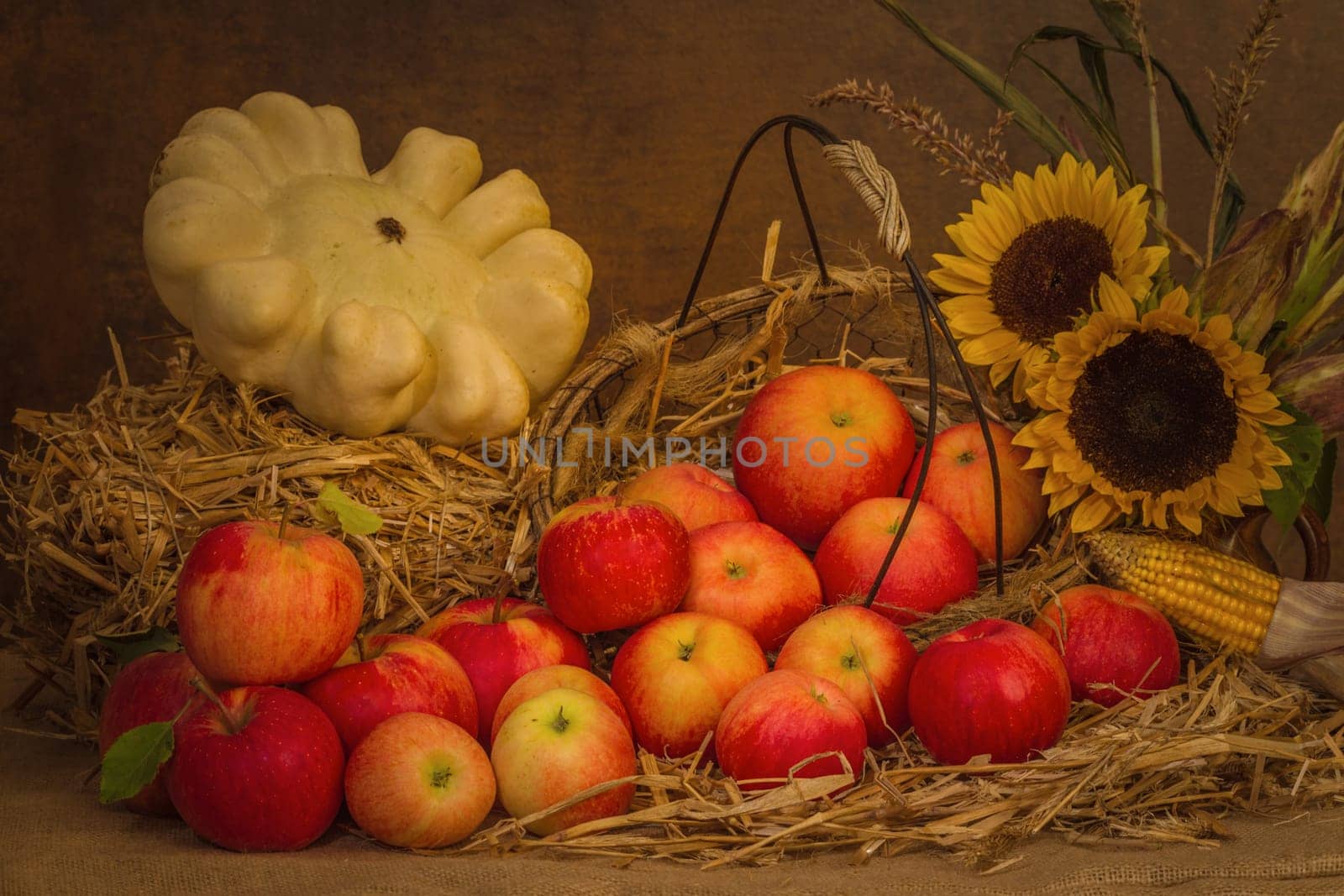 Harvest time
