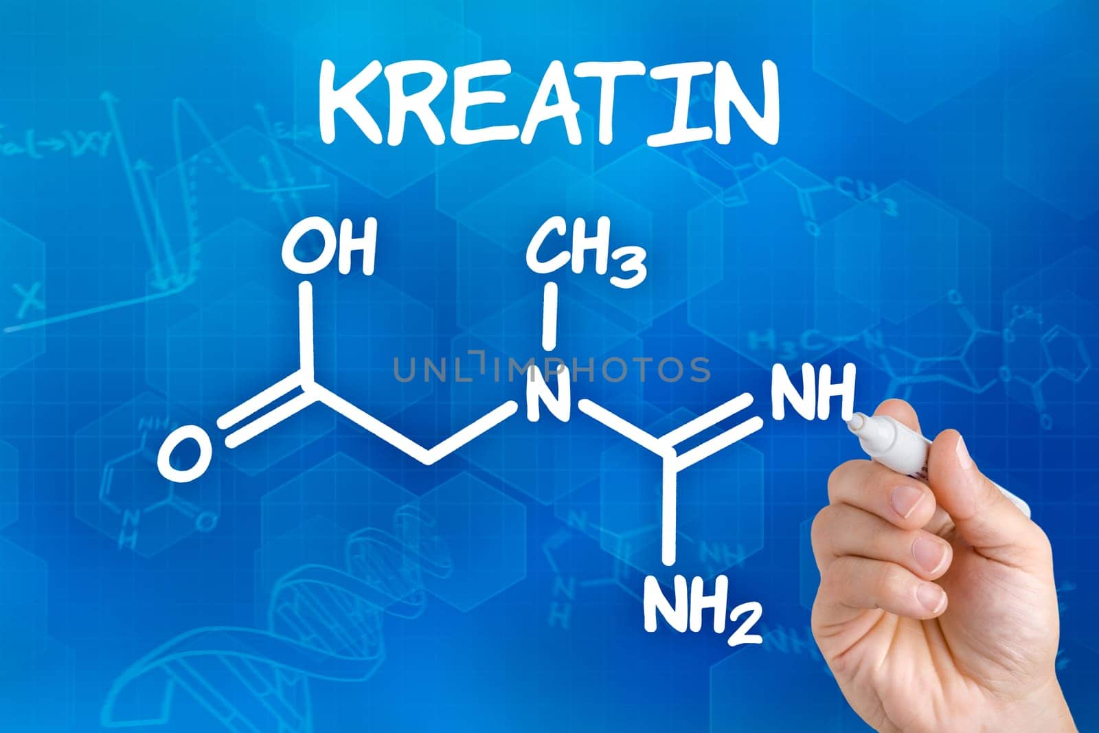 Hand draws chemical structural formula of creatine
