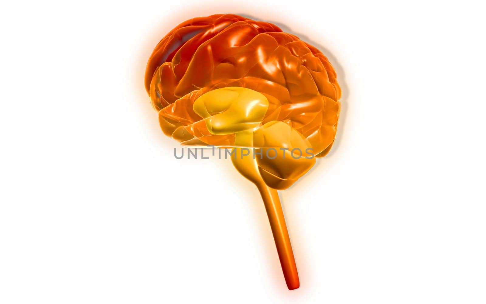 Digital illustration of brain in colour background