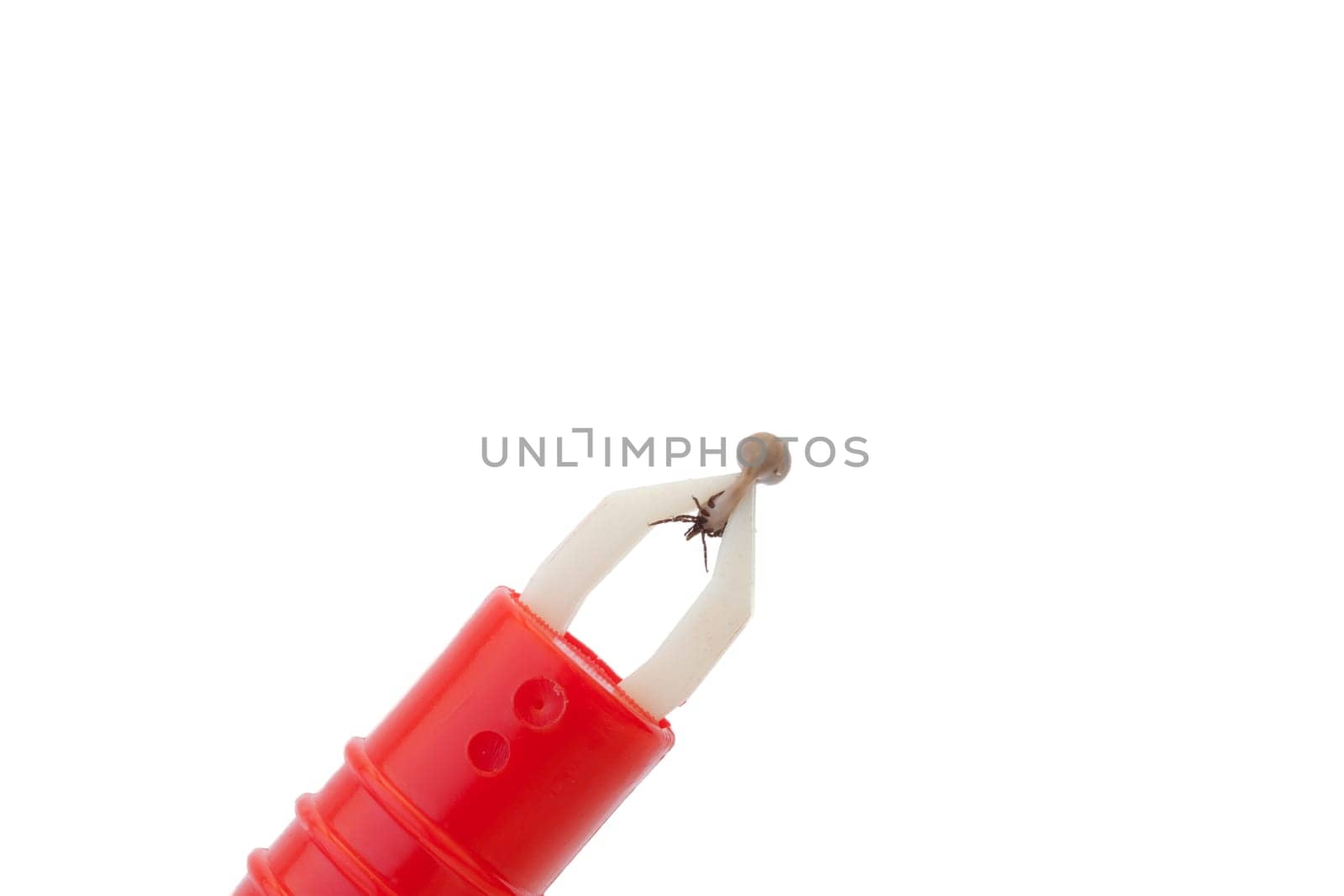 Tick tongs