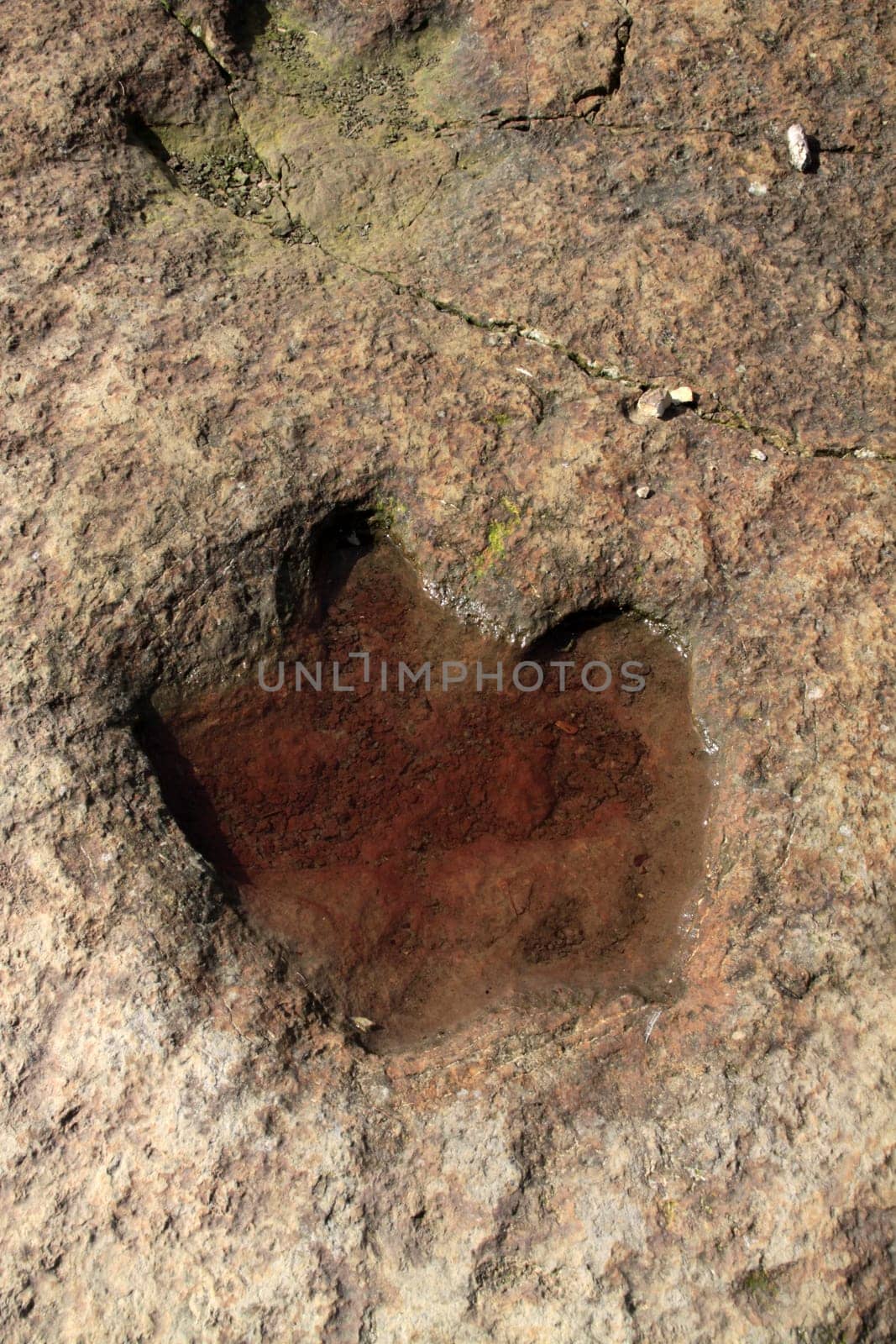 Dinosaur tracks in Obernkirchen