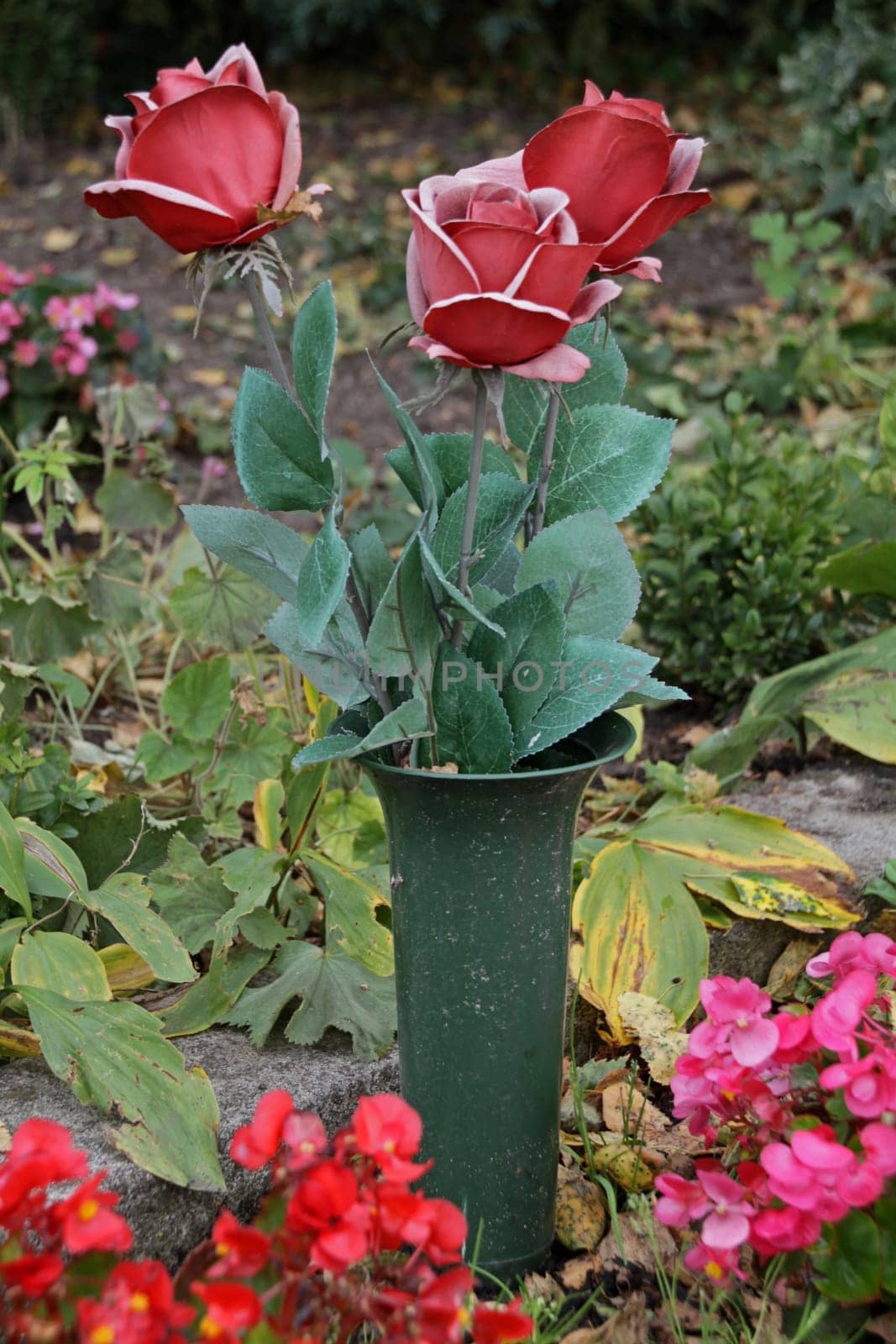 Artificial roses on a grave