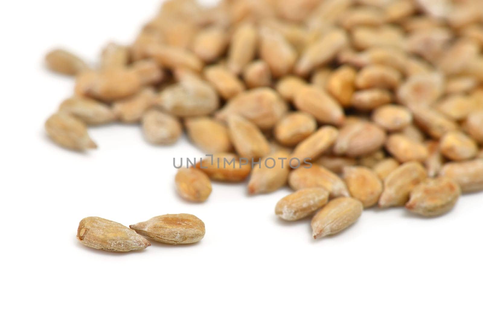 Sunflower Seeds