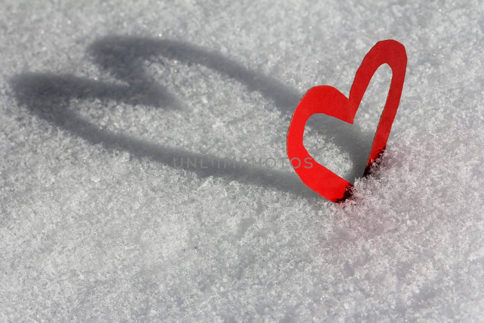 The Shadow Heart