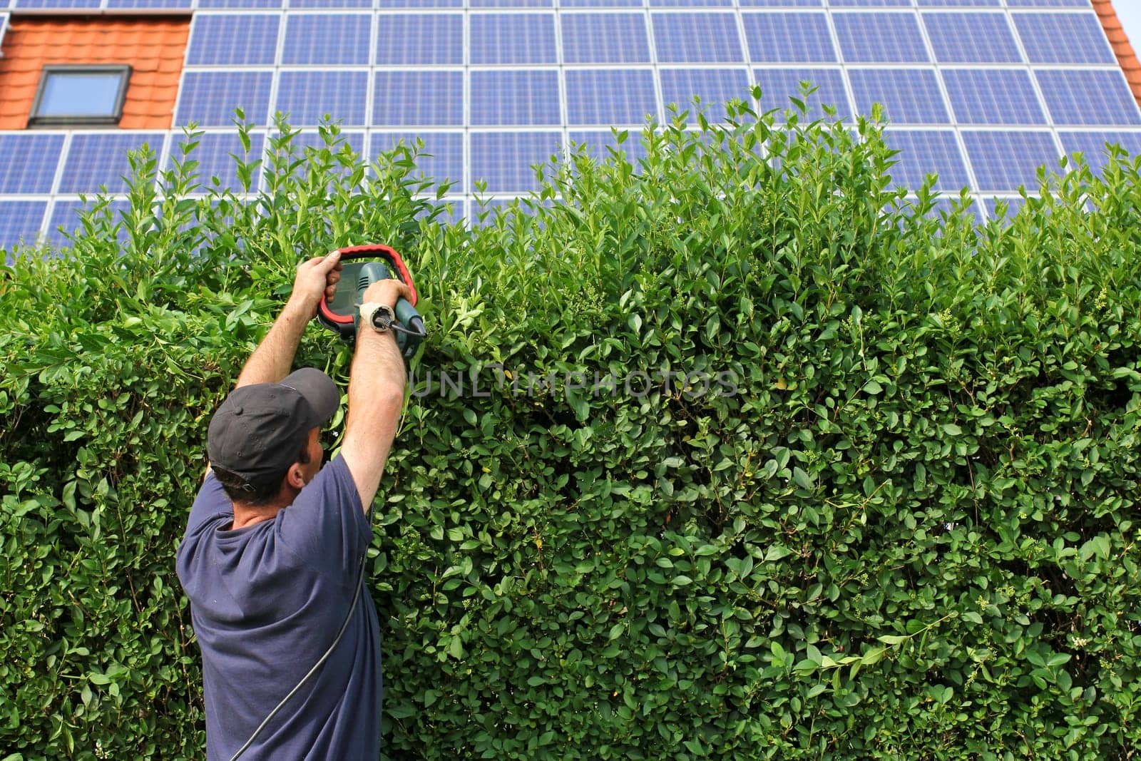 Gardening,Hedge cutting,Solar