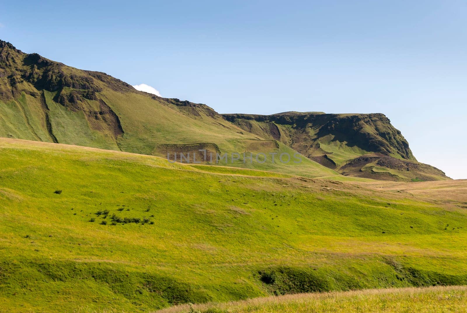 hills with meadows in Vik in Iceland
