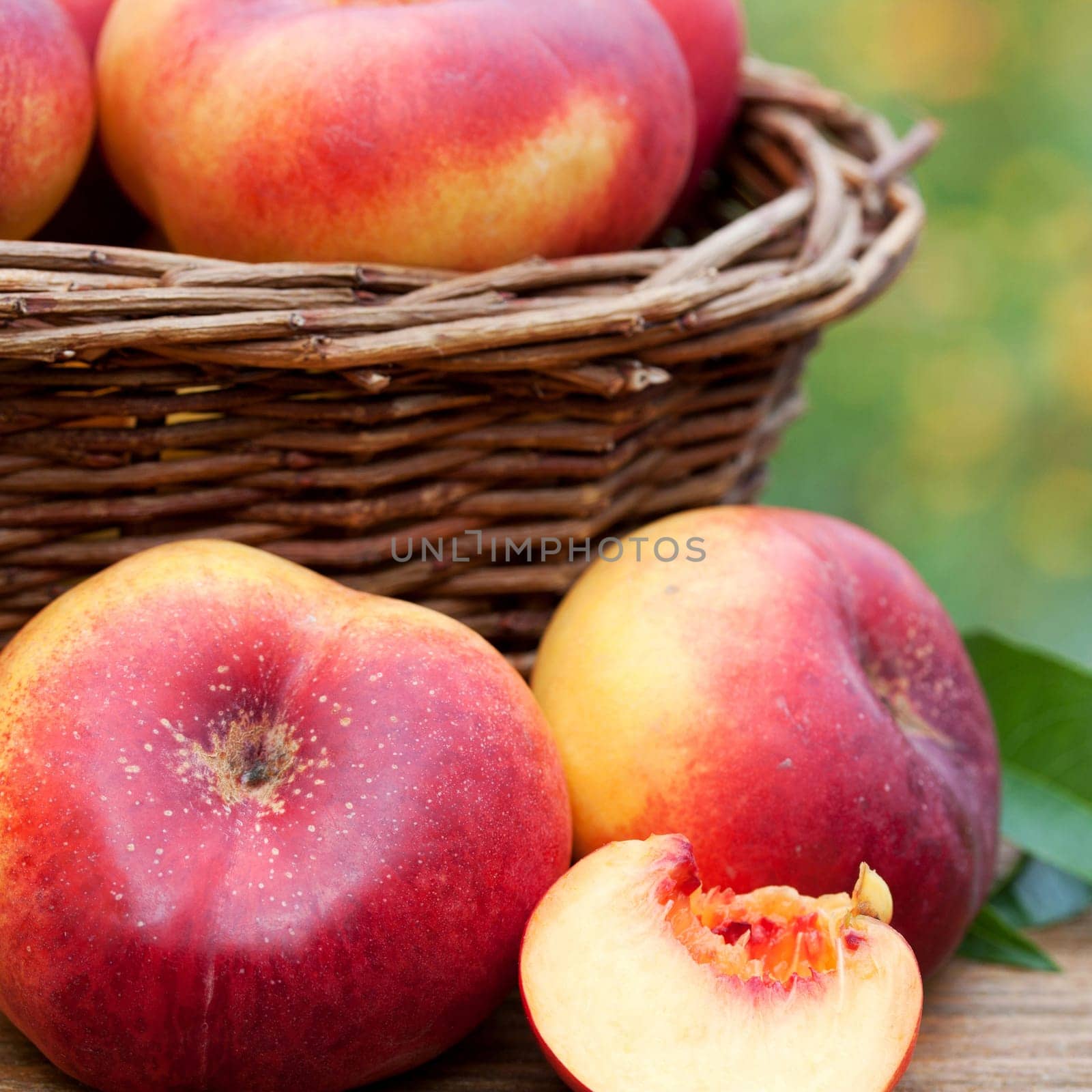 Freshly harvested mountain nectarines