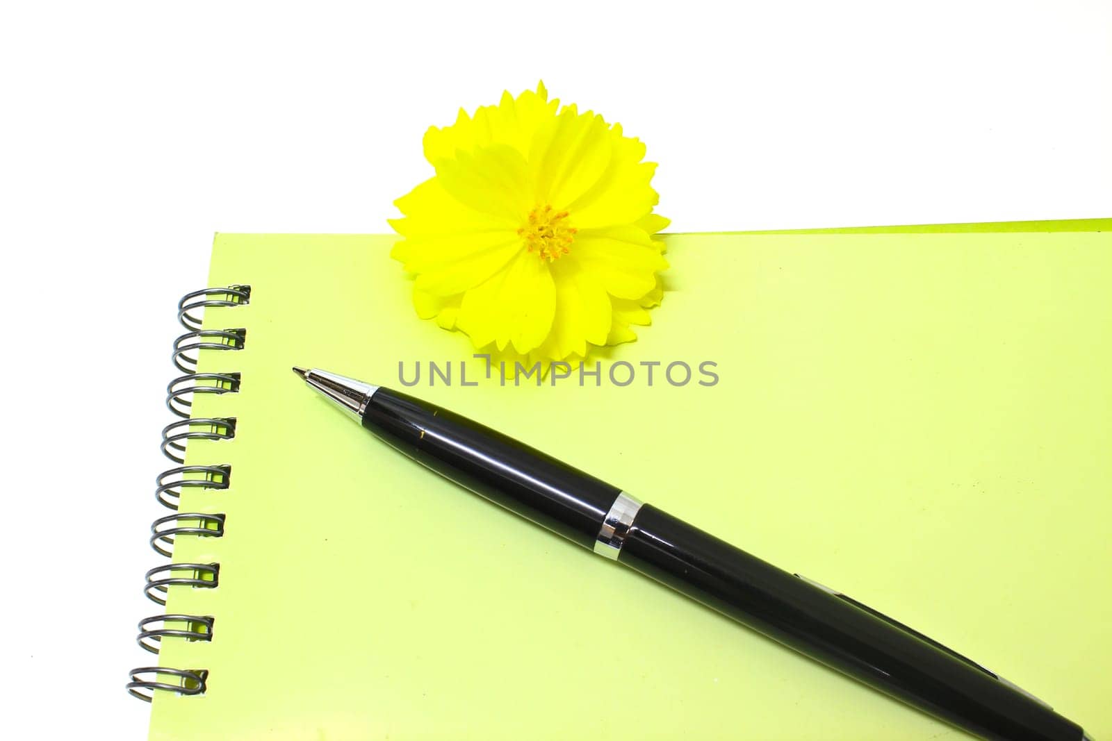 Pen resting on notebook and Yellow flower isolated on the white background
