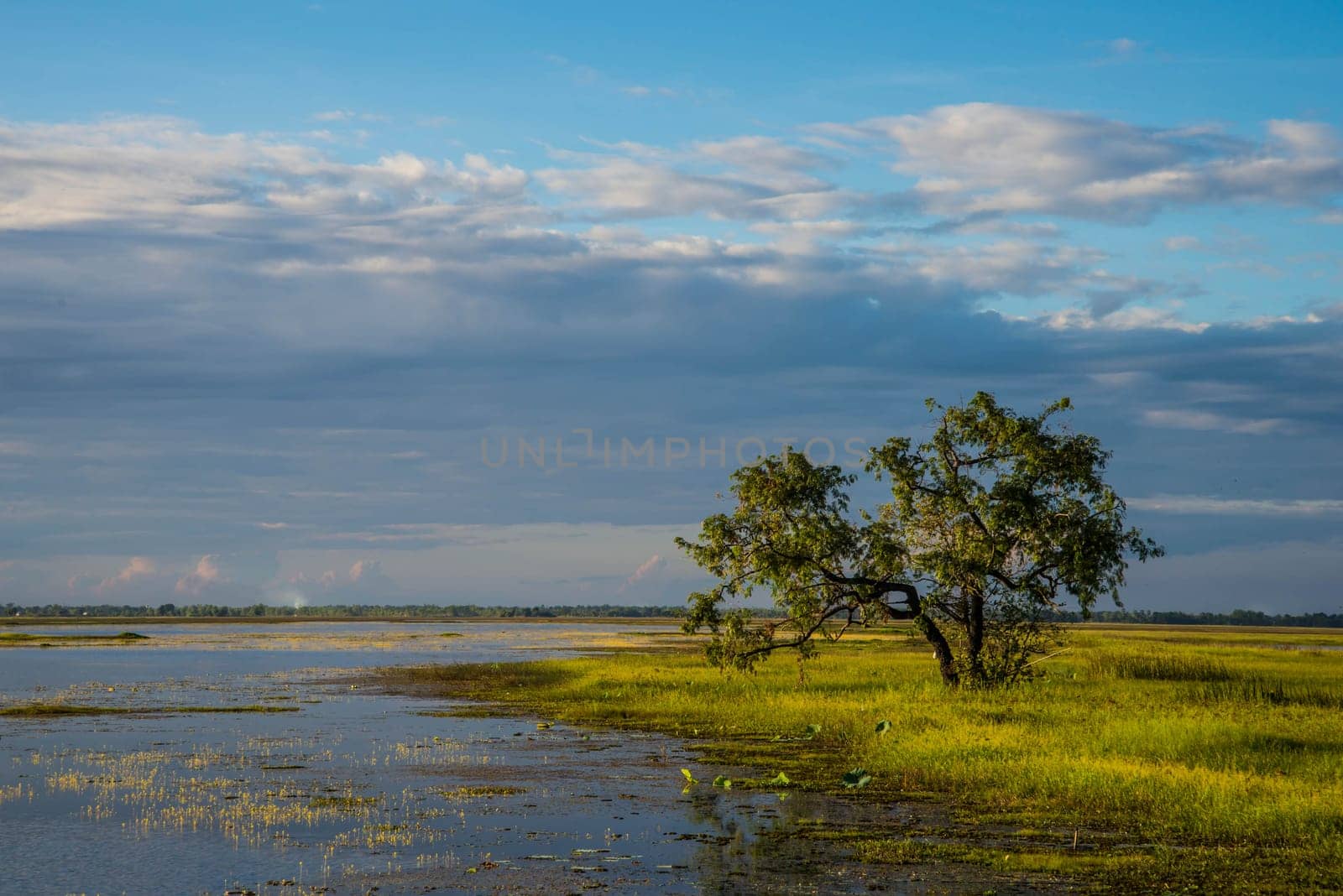 The reservoir for agriculture in the country of Thailand.