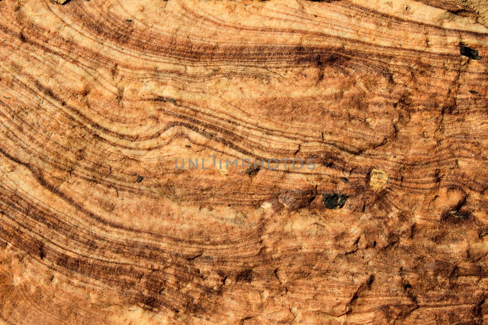 Closer view of rock grain pattern  lit by morning sunlight