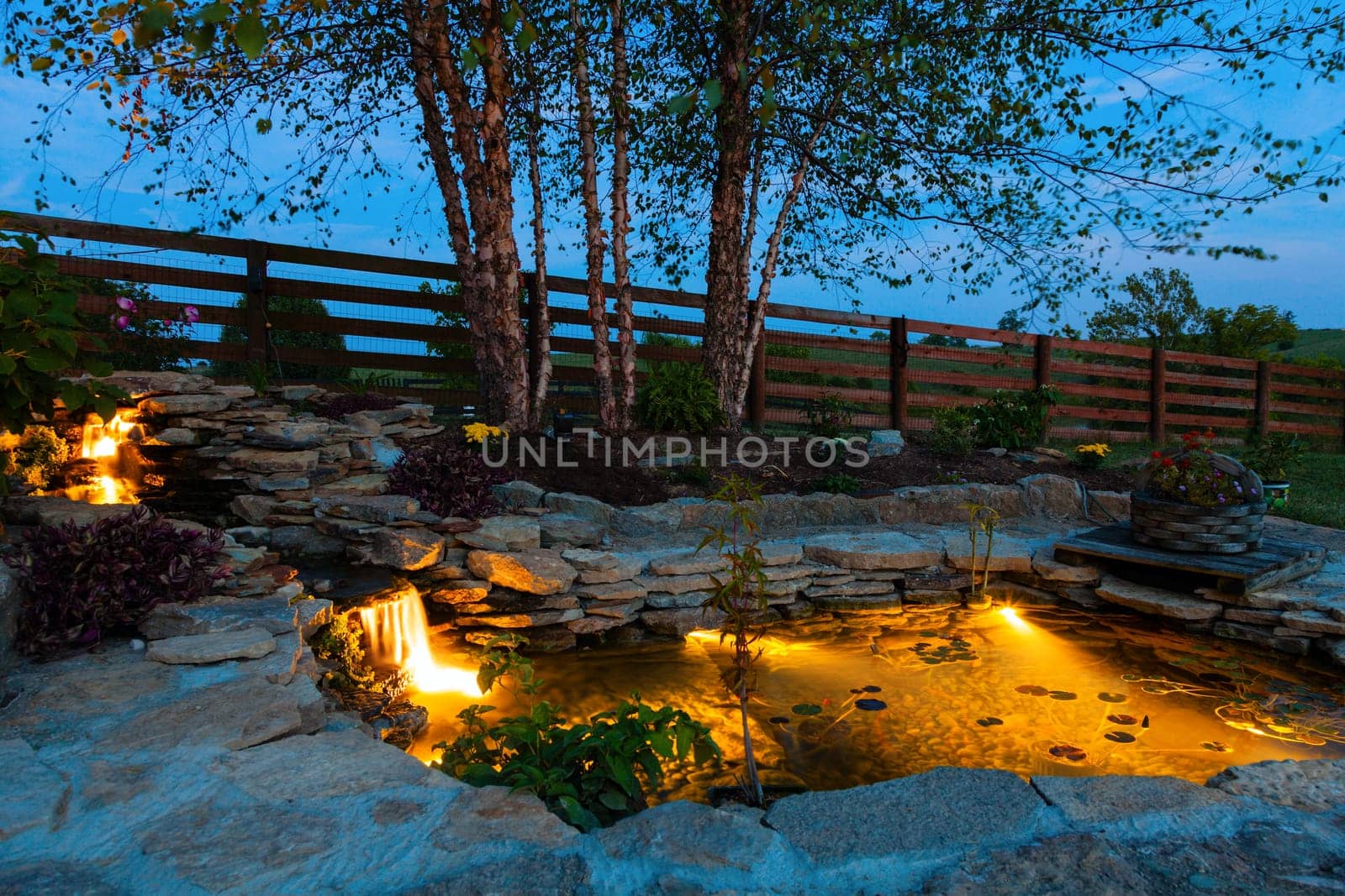 Decorative koi pond in a garden at night