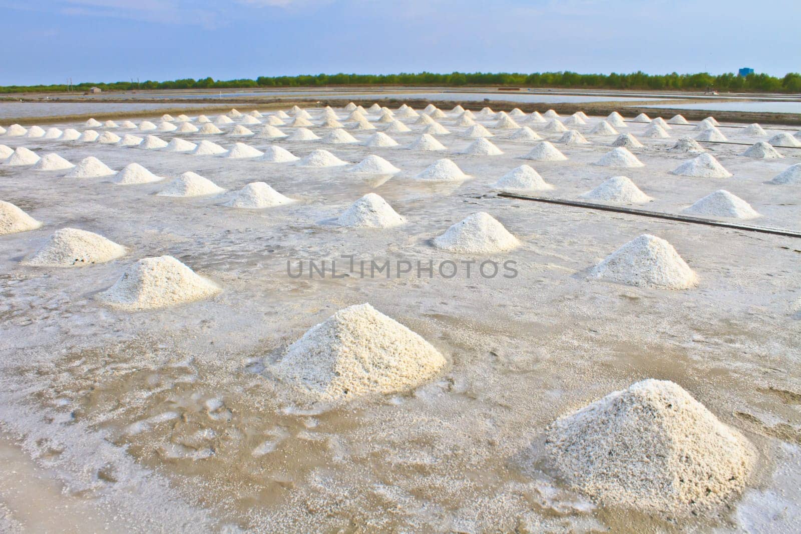 Salt in the Saline in rural Thailand