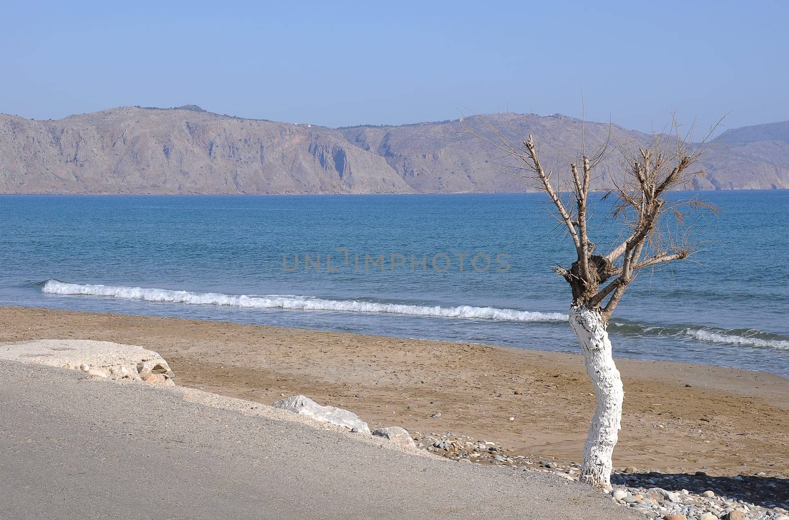 Mediterranean Sea