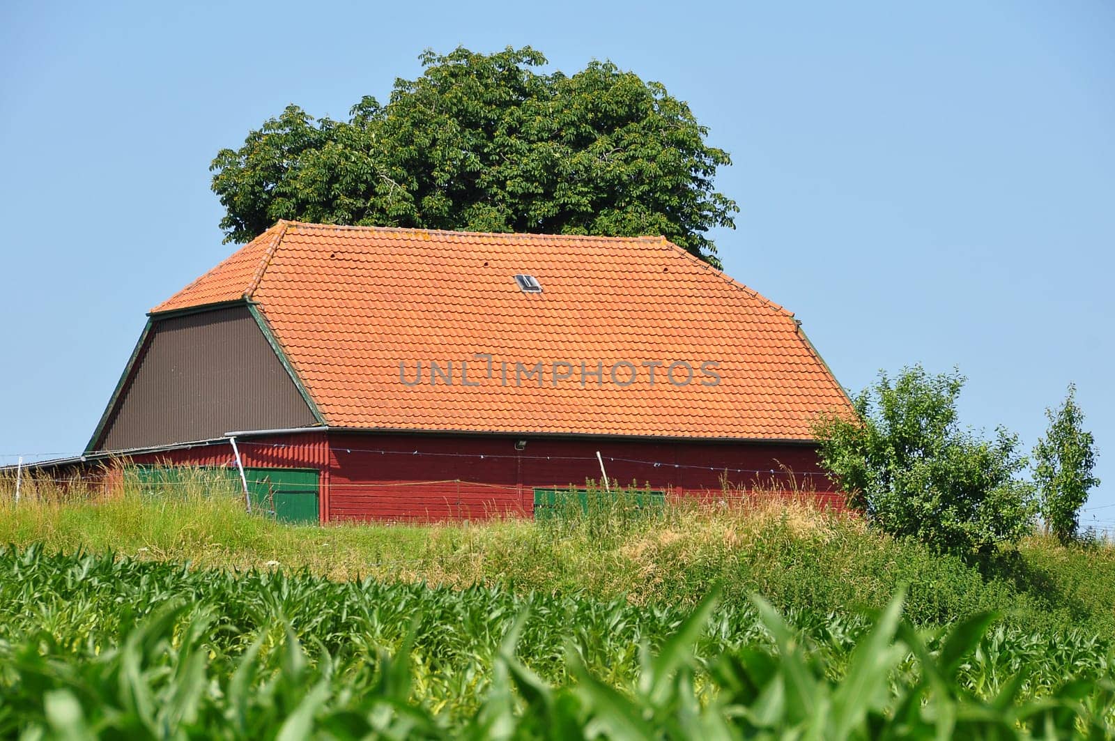 Agriculture