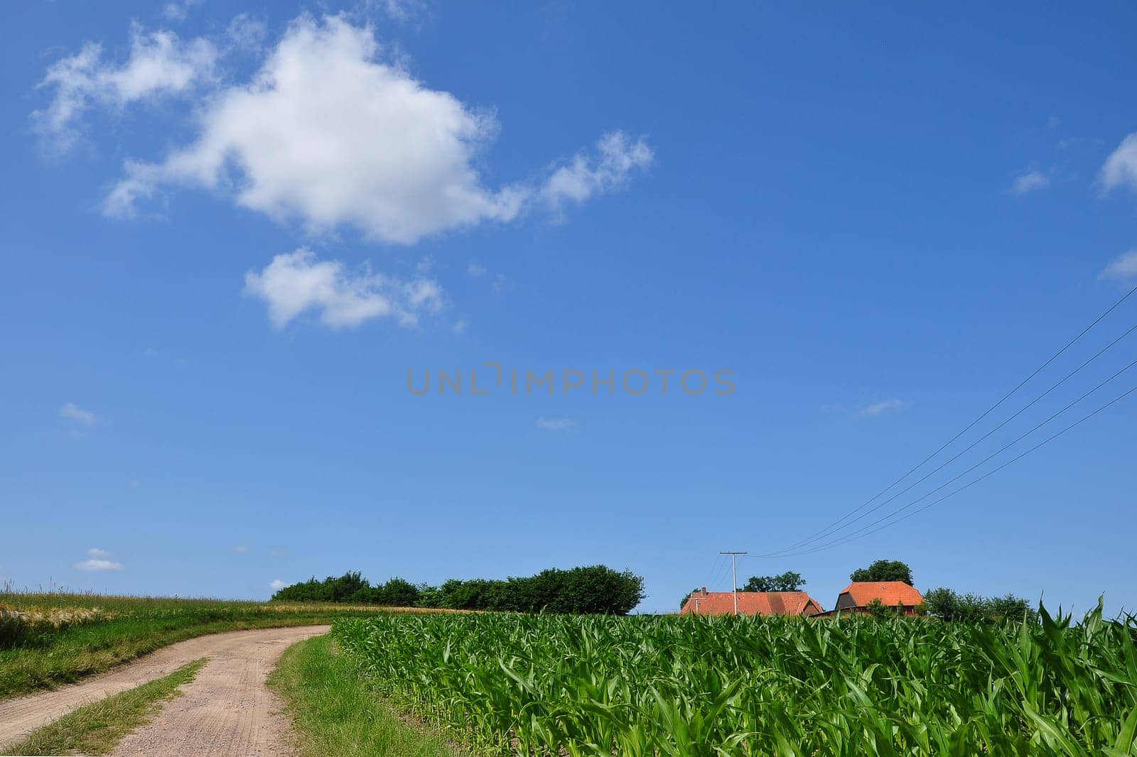 Agriculture