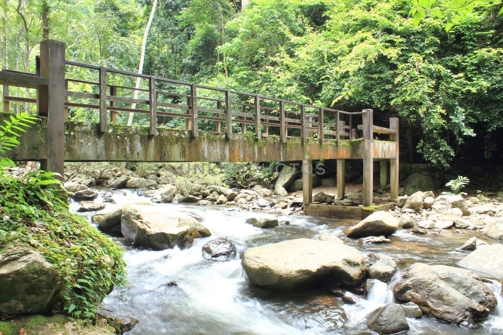 Bridge over the waterfall in Forest