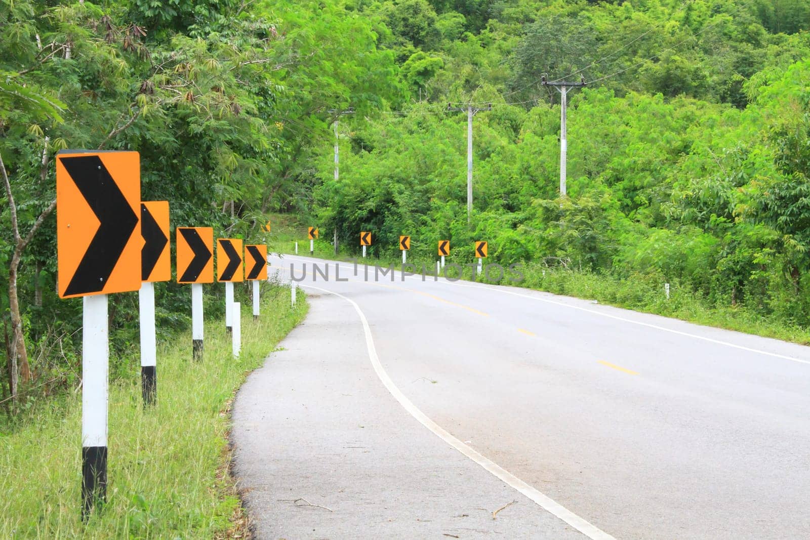 Road Signs warn Drivers for Ahead Dangerous Curve
