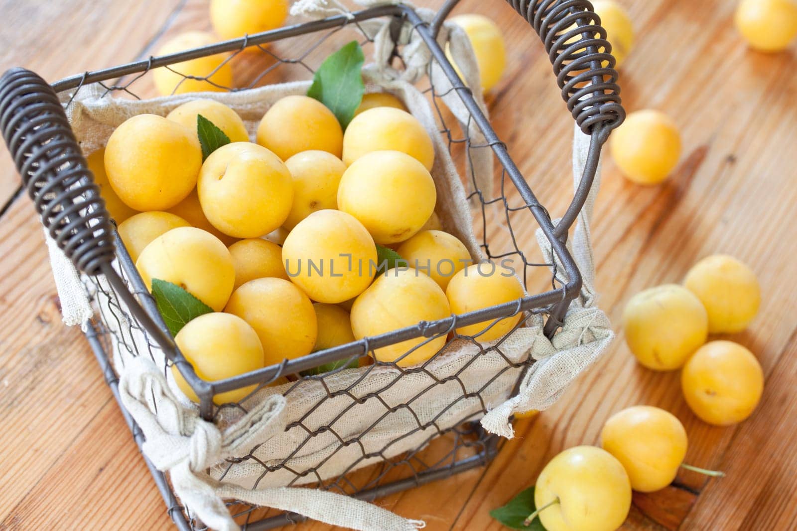 Freshly harvested mirabelle plums