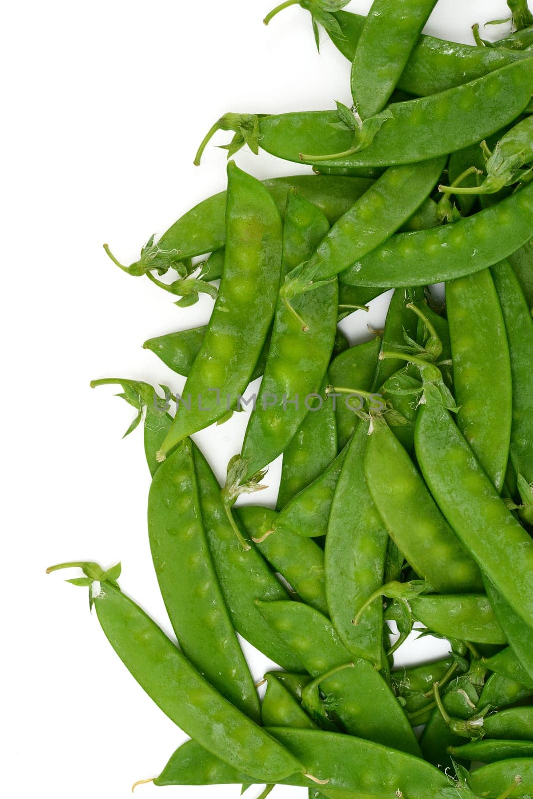 Fresh Sugar Peas