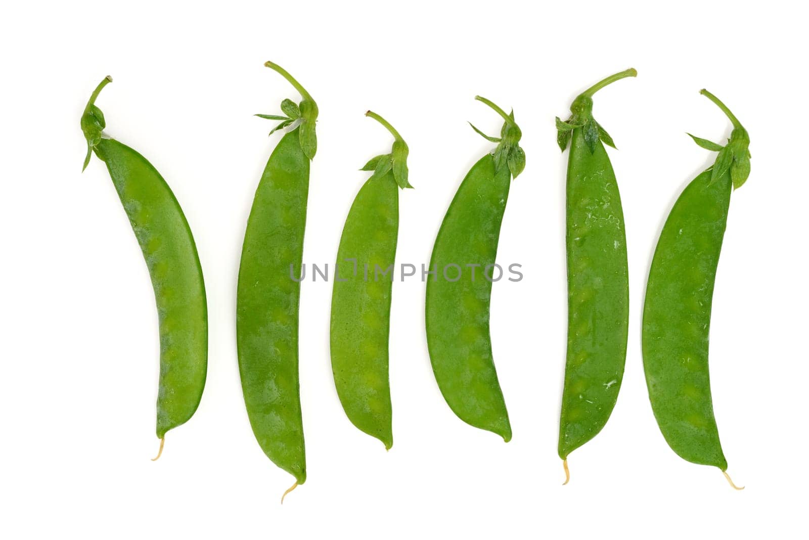 Fresh Sugar Peas