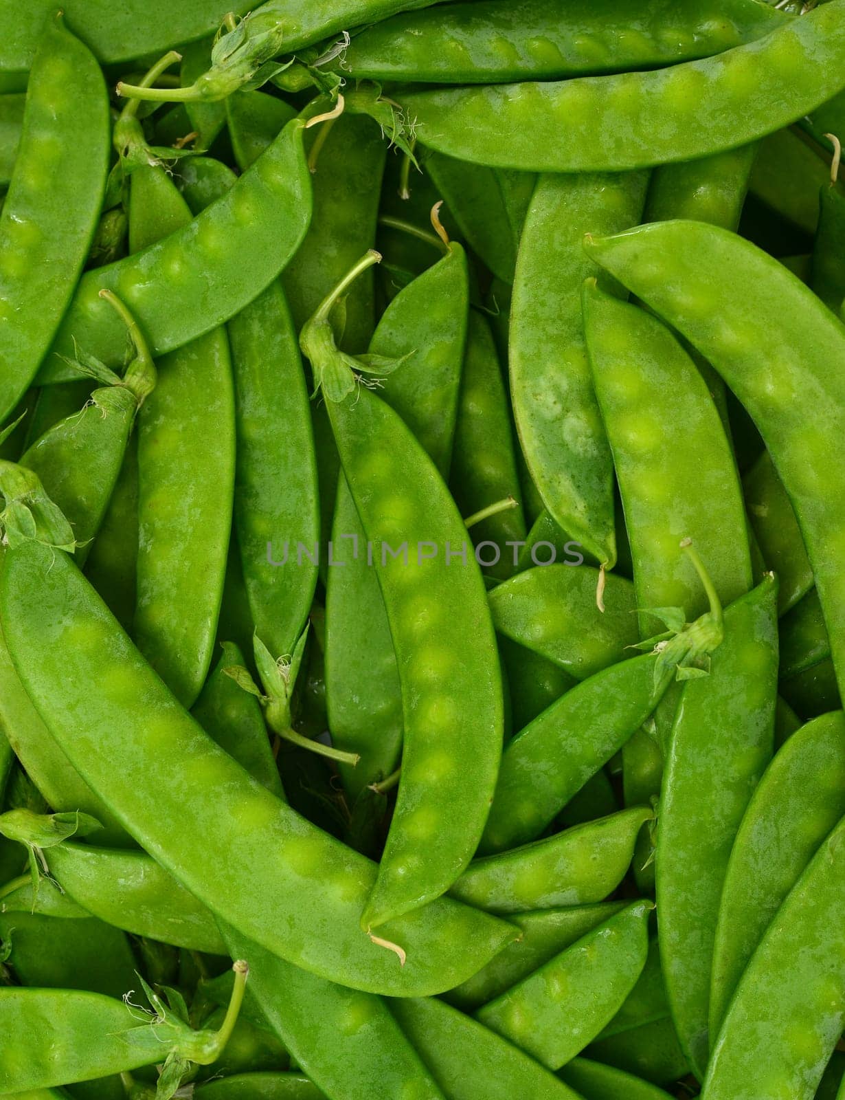 Fresh Sugar Peas