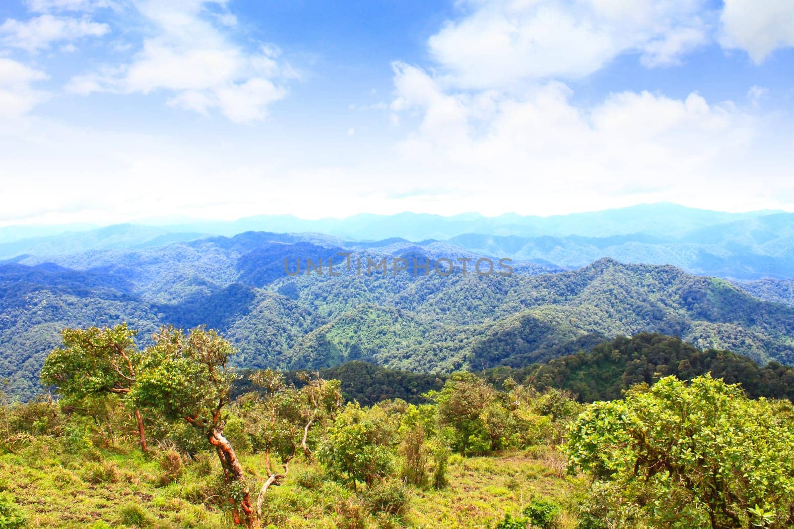 Views of the valley to the high peaks of 1200 meters in the national park