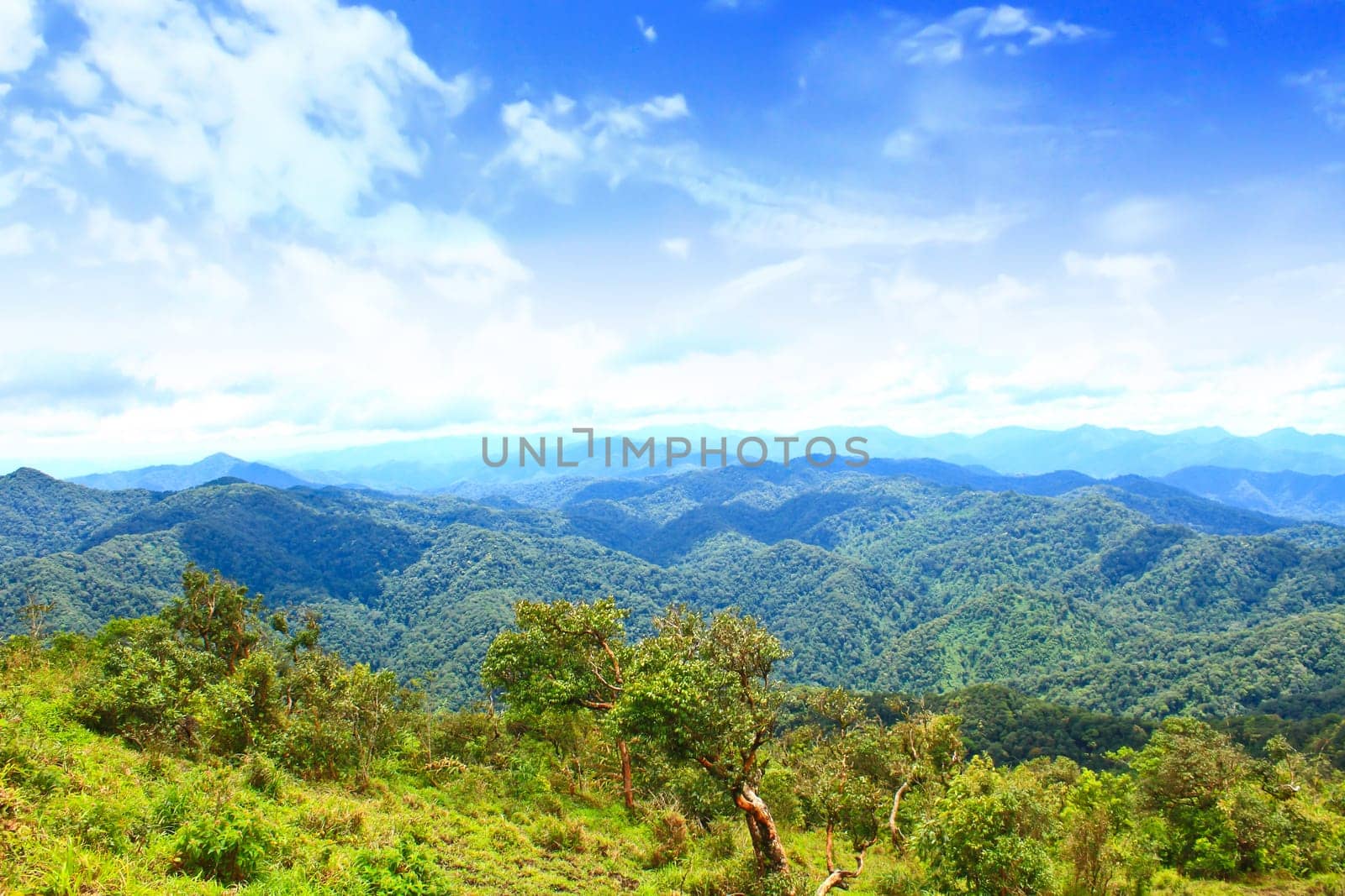 Views of the valley to the high peaks of 1200 meters in the national park