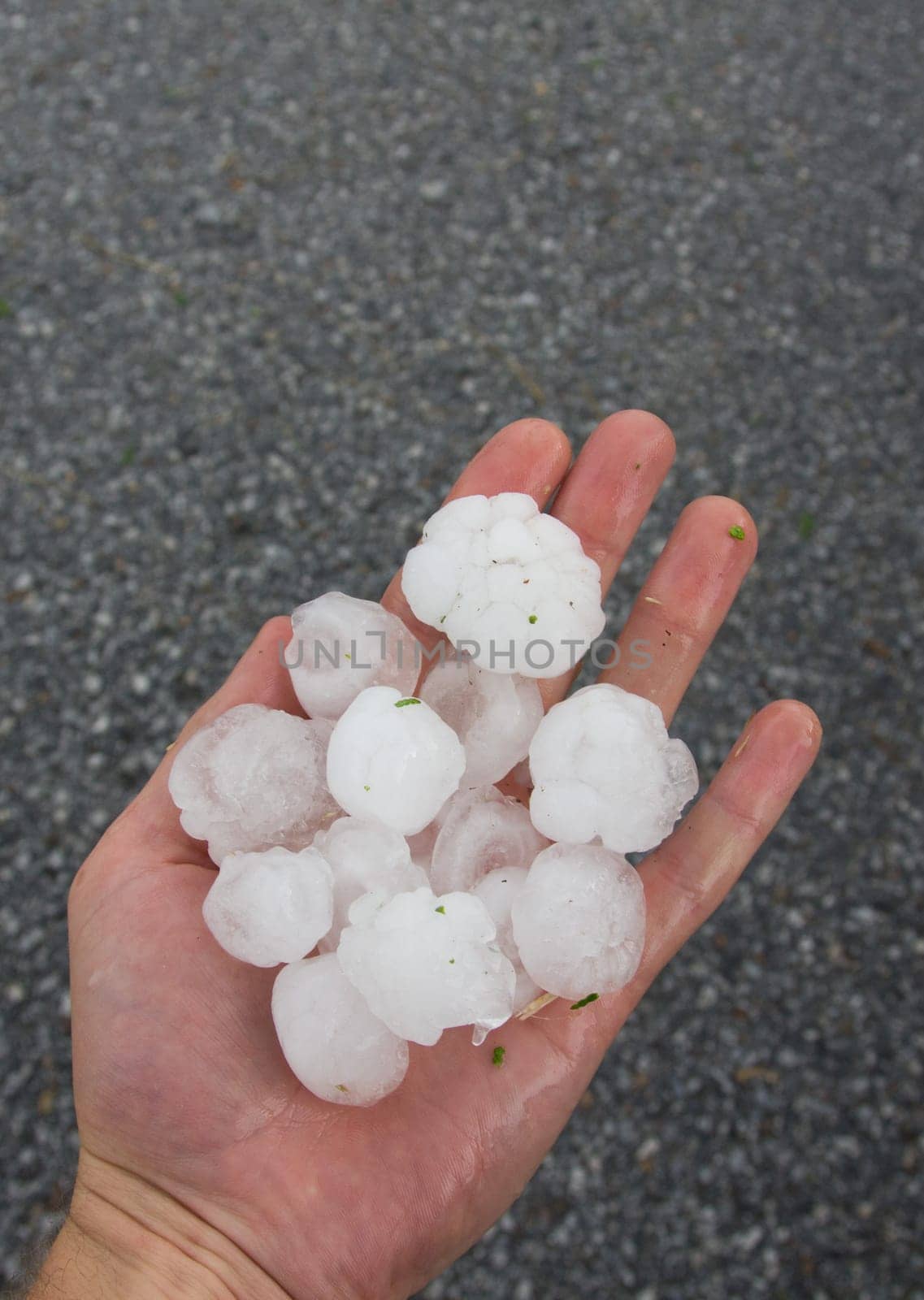 hail without taxi