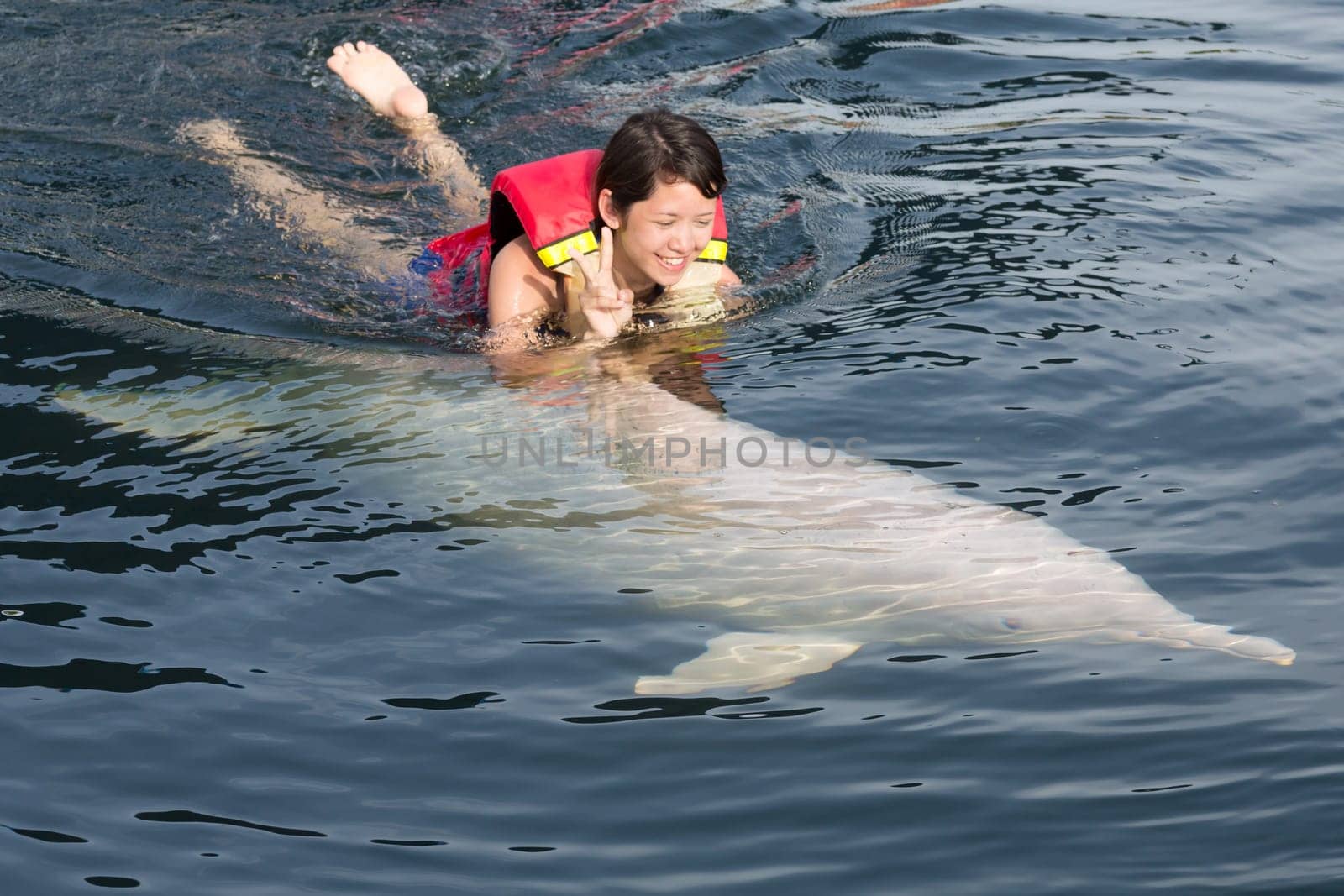 Swimming with dolphin,teenager with fish in the water