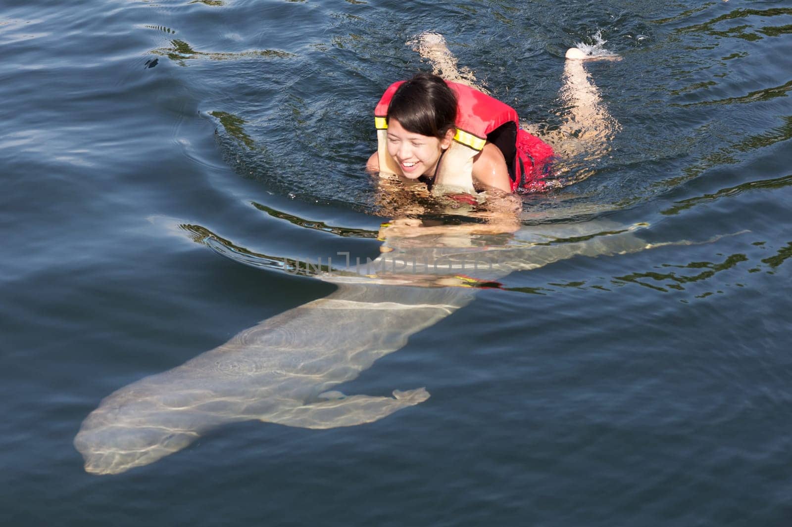 Swimming with dolphin,teenager with fish in the water