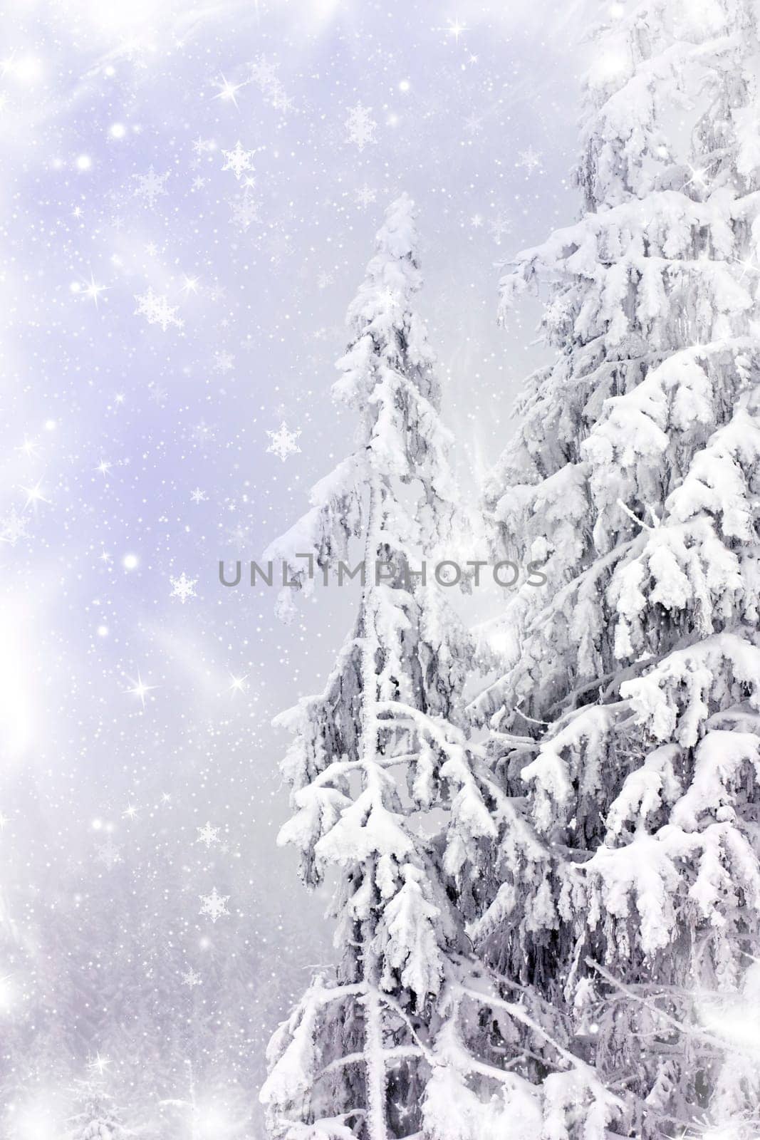 Winter landscape with snowy fir trees