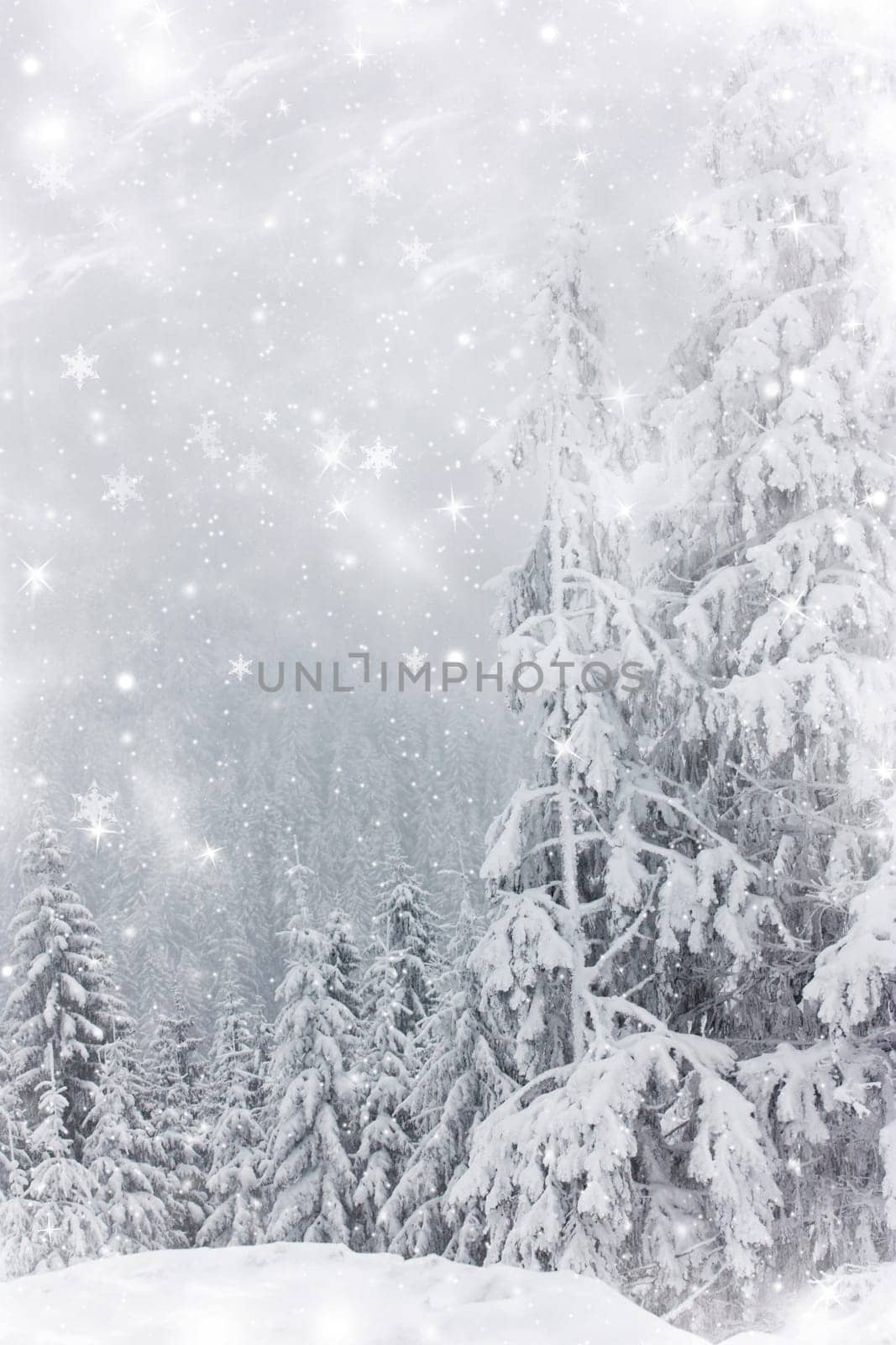 Winter landscape with snowy fir trees