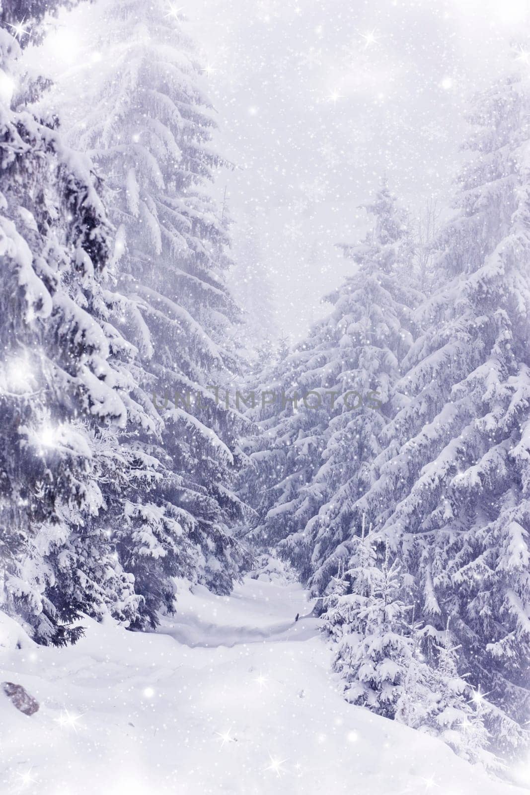 Winter road in the mountains
