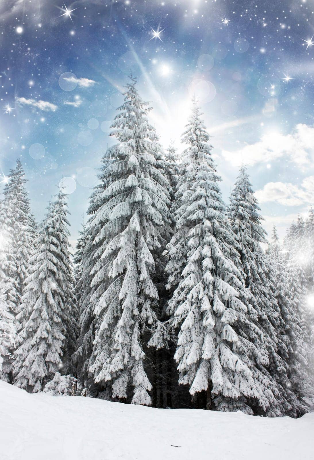 Winter landscape with snowy fir trees