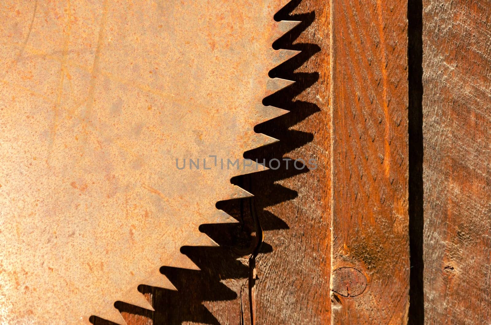 Rusted blade of an old circular saw
