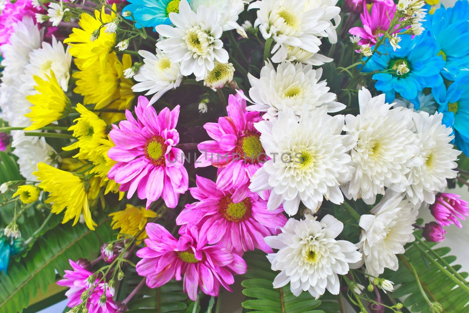beautiful bouquet of bright flowers, colorful flora