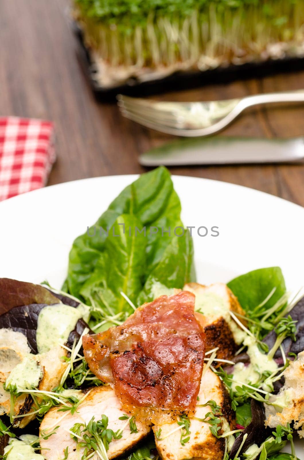 Fried serrano and fillet of turkey on lettuce and cress