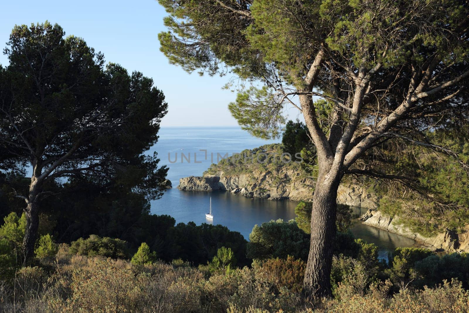 Details of view at the cove Rostella in Spain.
