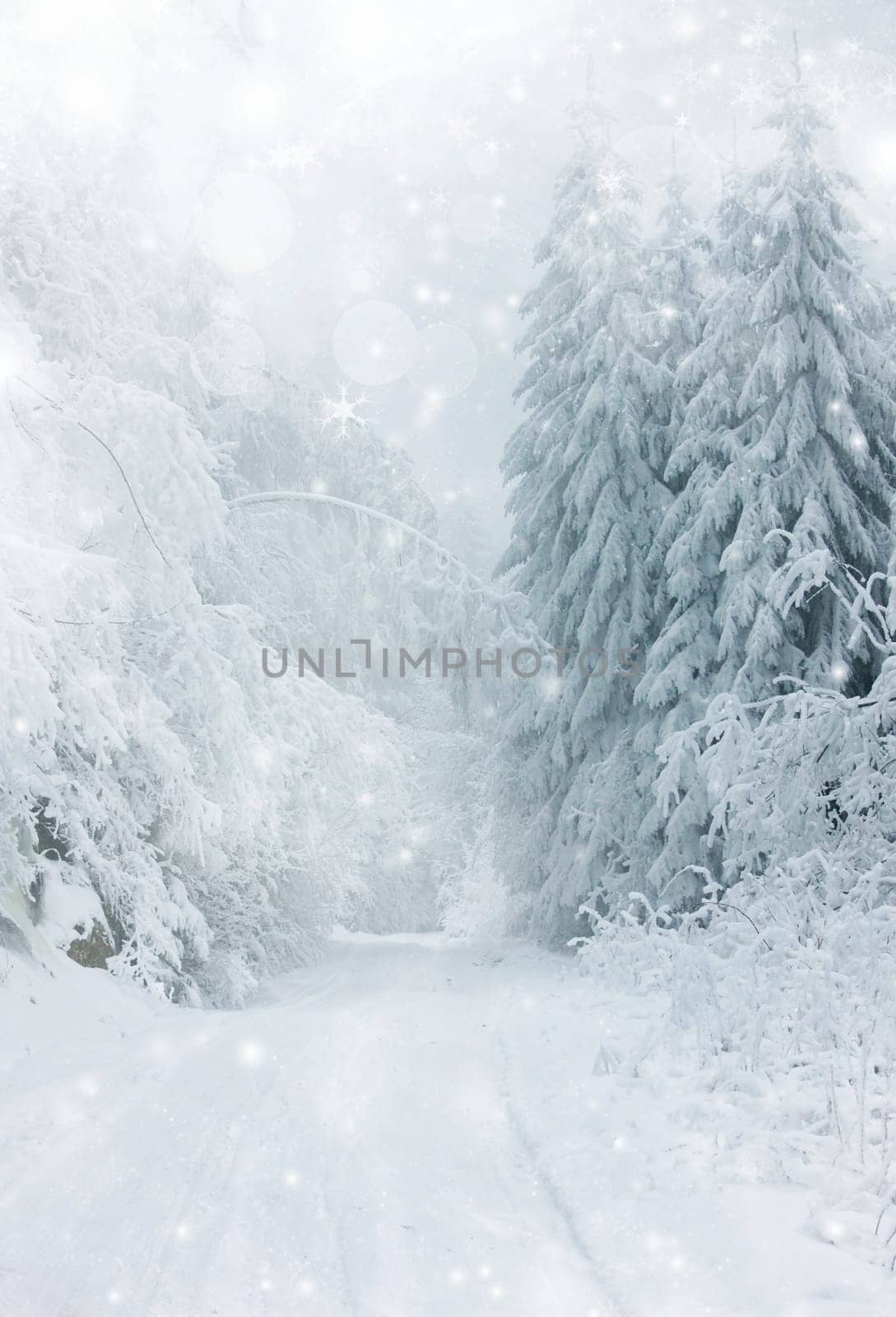 Snow cowered winter road in the mountains