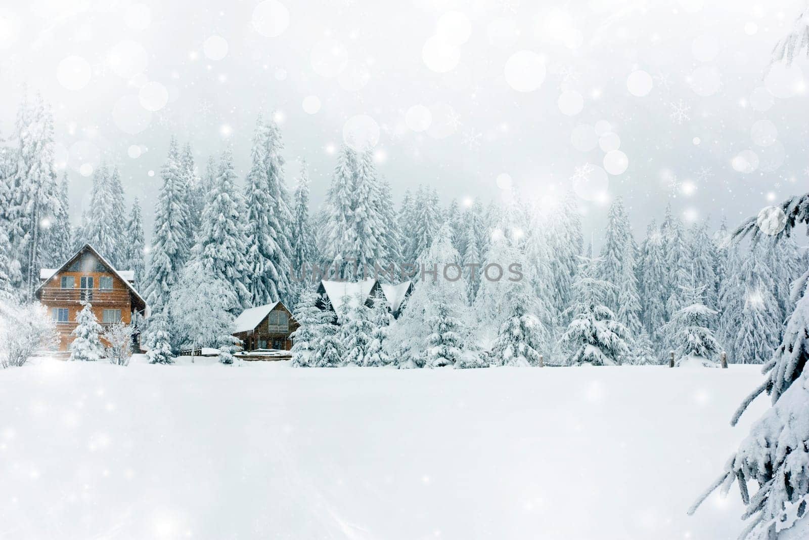 Winter landscape with snowy fir trees and mountain cotage